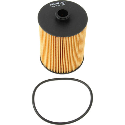 Purflux L1071