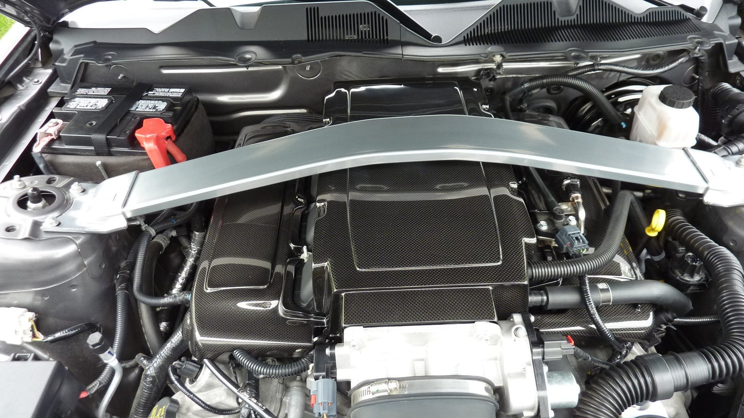 APR Carbon Fiber Mustang Fuel Rail Covers 2005-2010