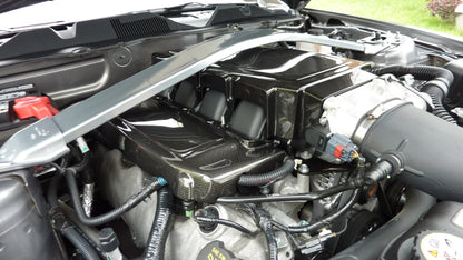 APR Carbon Fiber Mustang Fuel Rail Covers 2005-2010