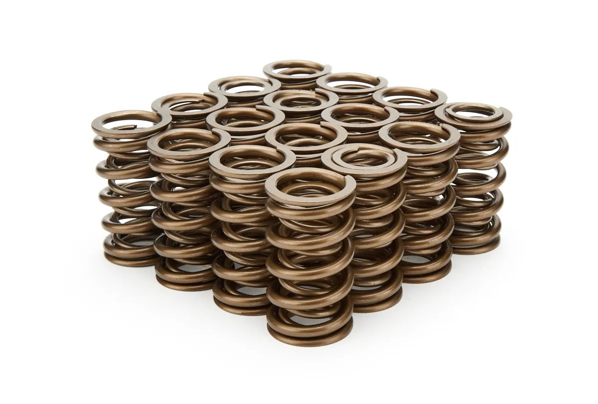 Pac Racing 1.374 Dual Valve Springs - (16) Camshafts and Valvetrain Valve Springs main image