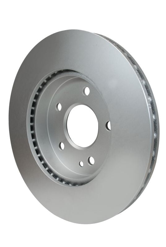 Pagid Disc Brake Rotor