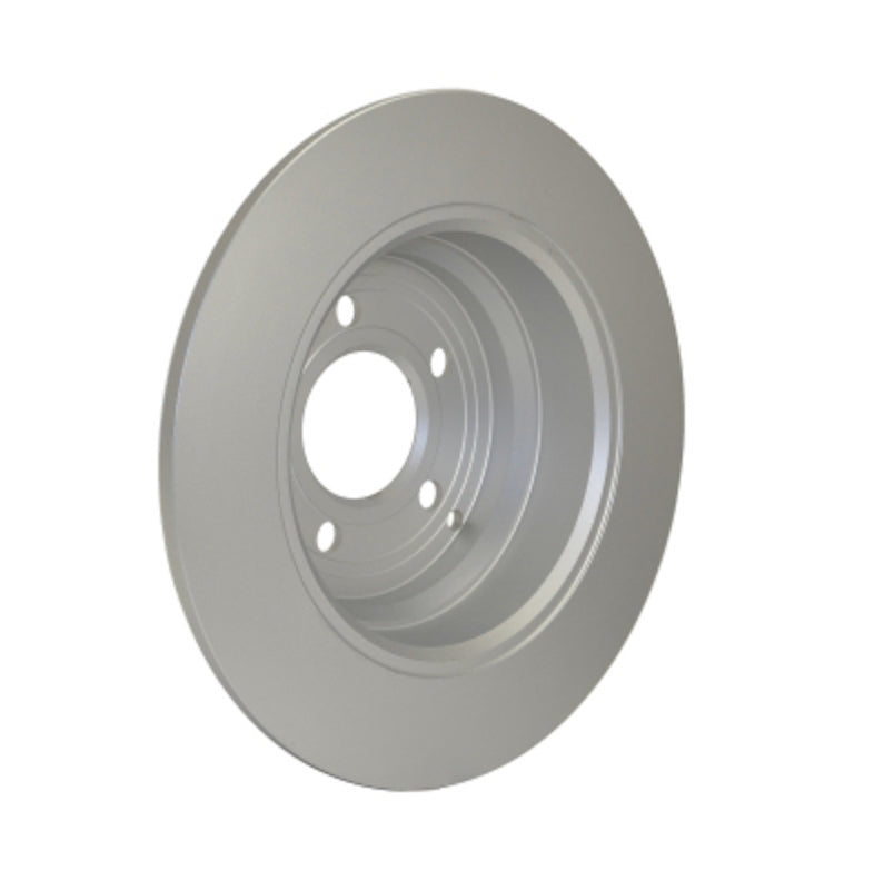 Pagid Disc Brake Rotor