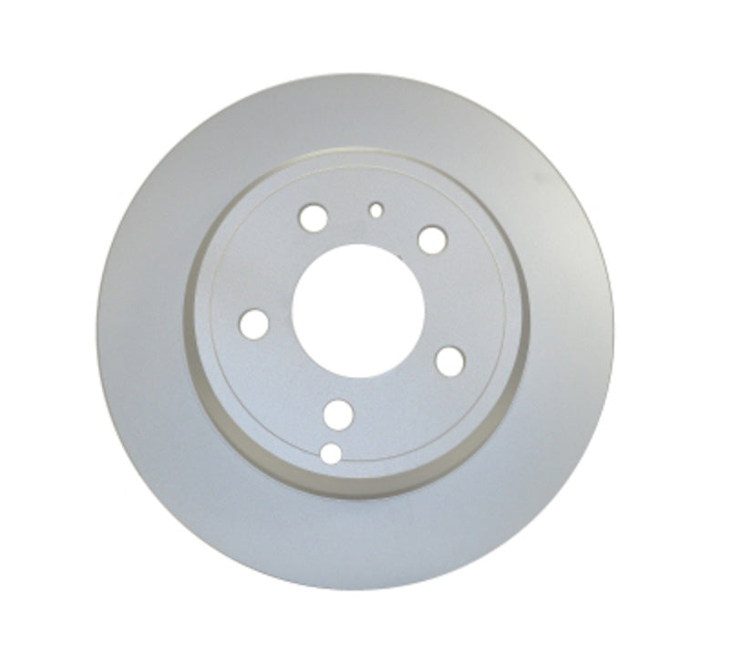 Pagid Disc Brake Rotor