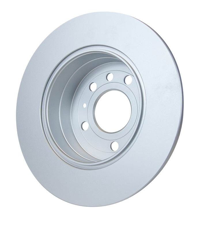 Pagid Disc Brake Rotor