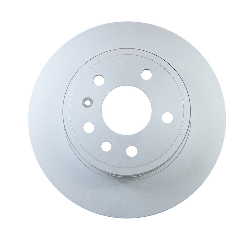 Pagid Disc Brake Rotor