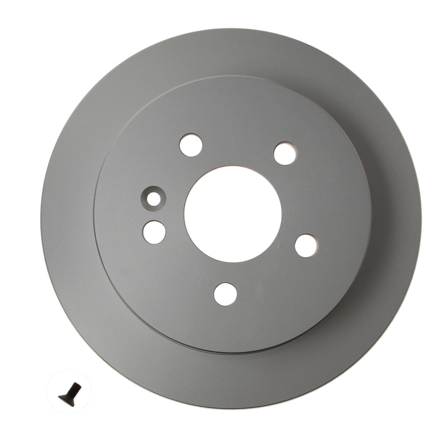 Pagid Disc Brake Rotor