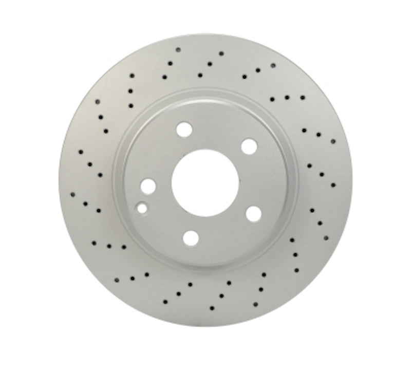Pagid Disc Brake Rotor