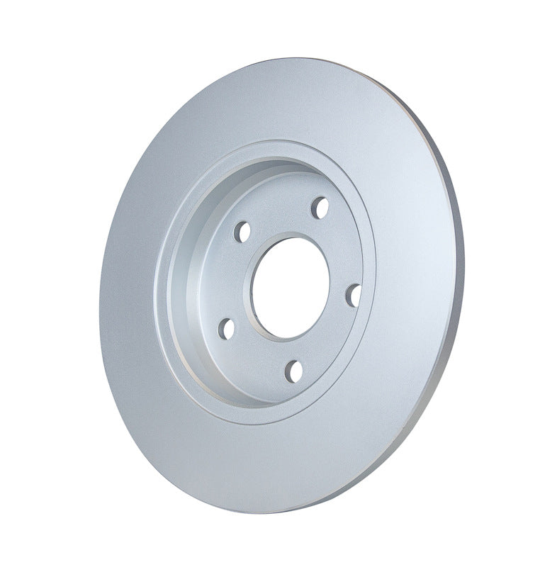 Pagid Disc Brake Rotor