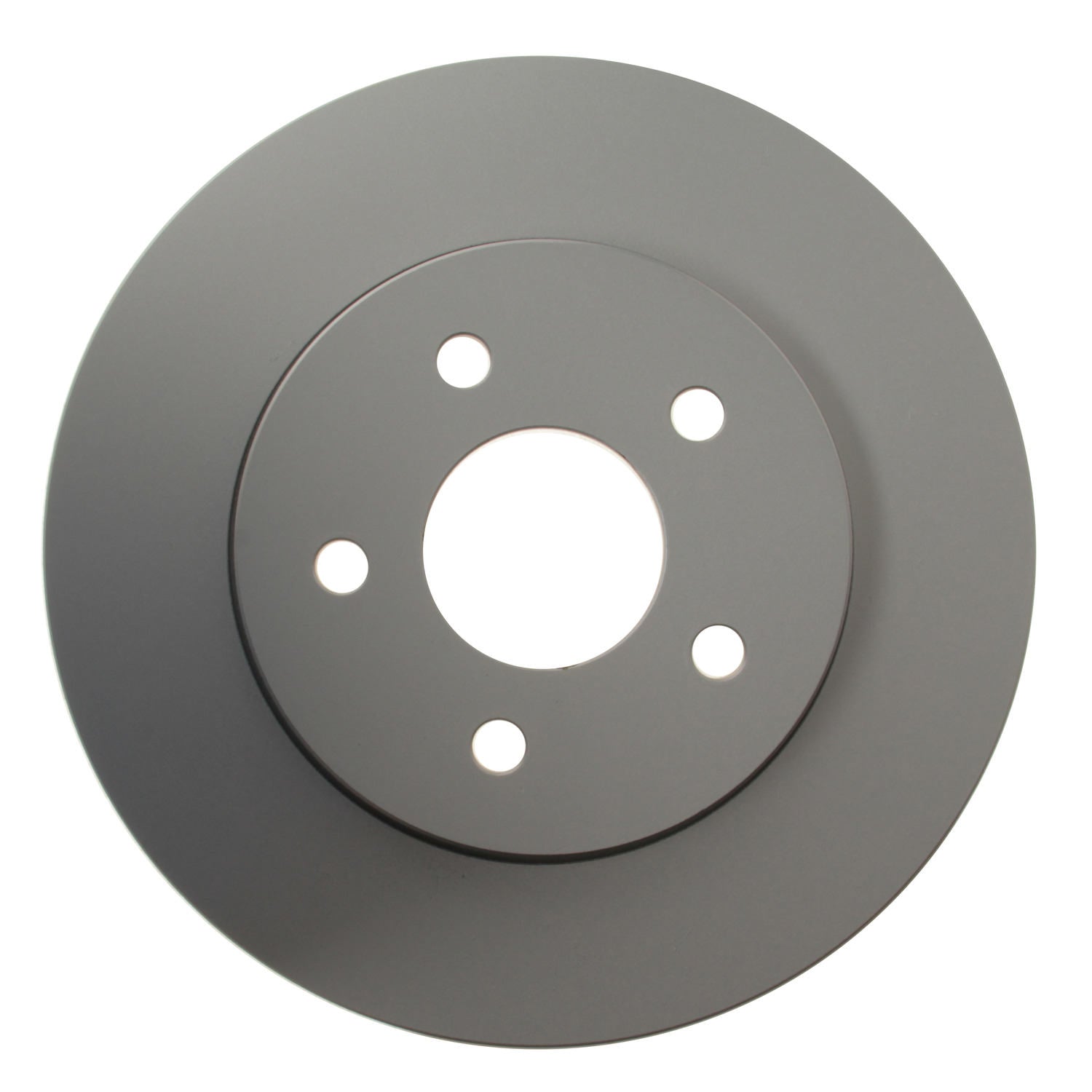 Pagid Disc Brake Rotor