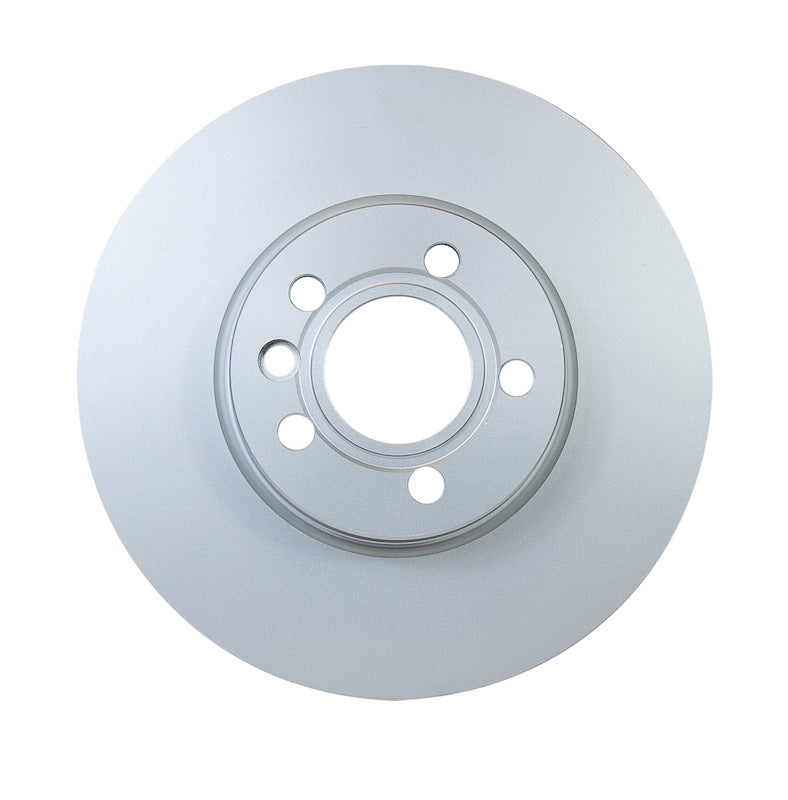 Pagid Disc Brake Rotor