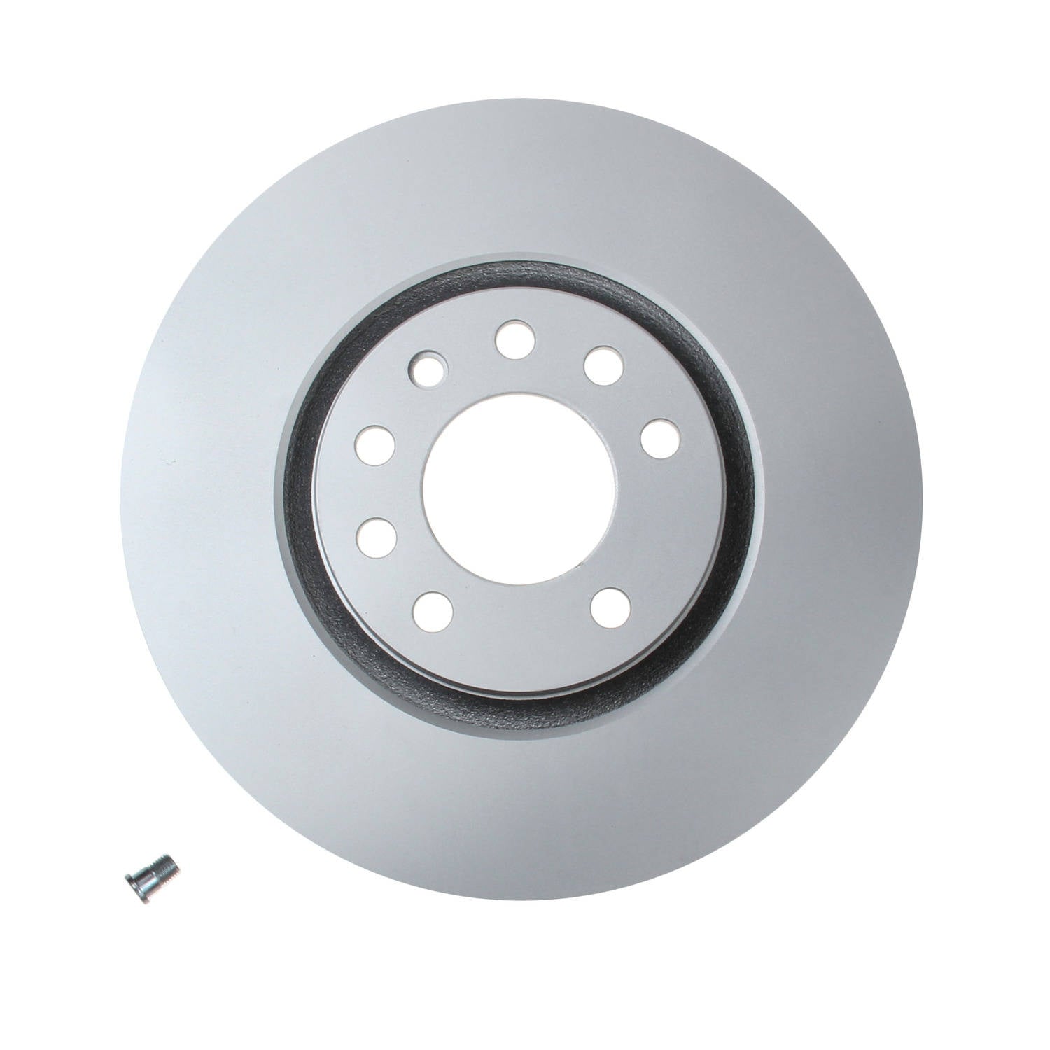 Pagid Disc Brake Rotor