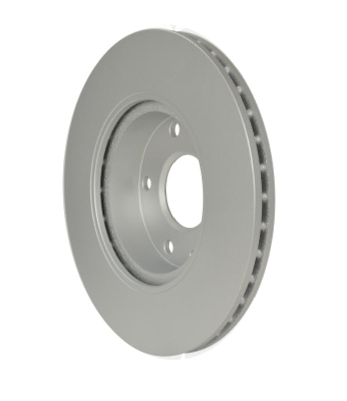 Pagid Disc Brake Rotor