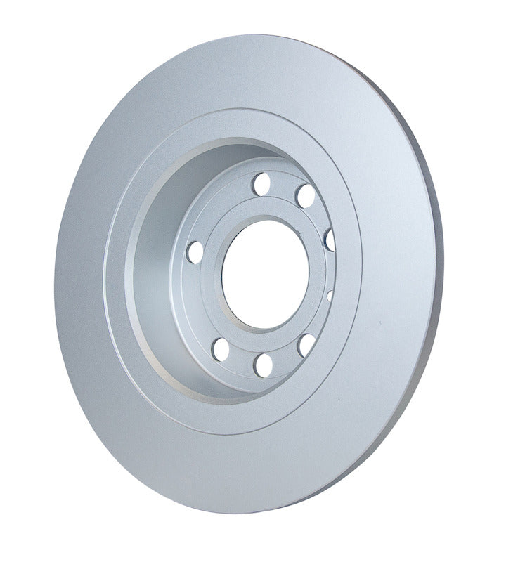Pagid Disc Brake Rotor