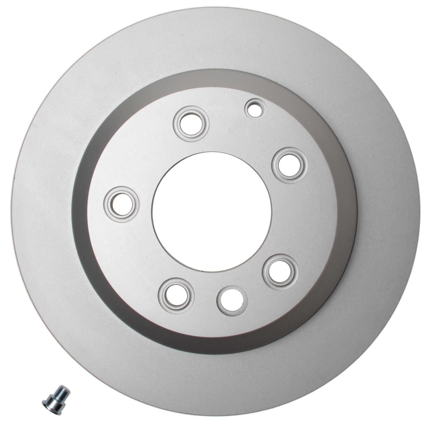 Pagid Disc Brake Rotor