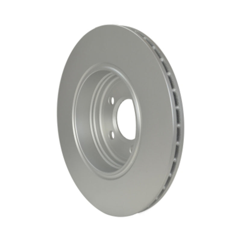 Pagid Disc Brake Rotor