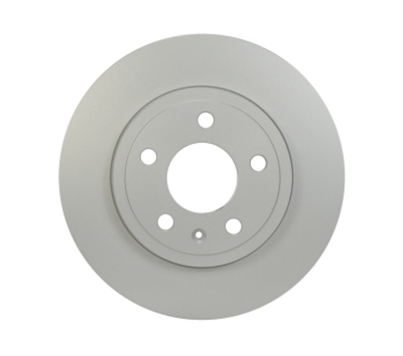 Pagid Disc Brake Rotor