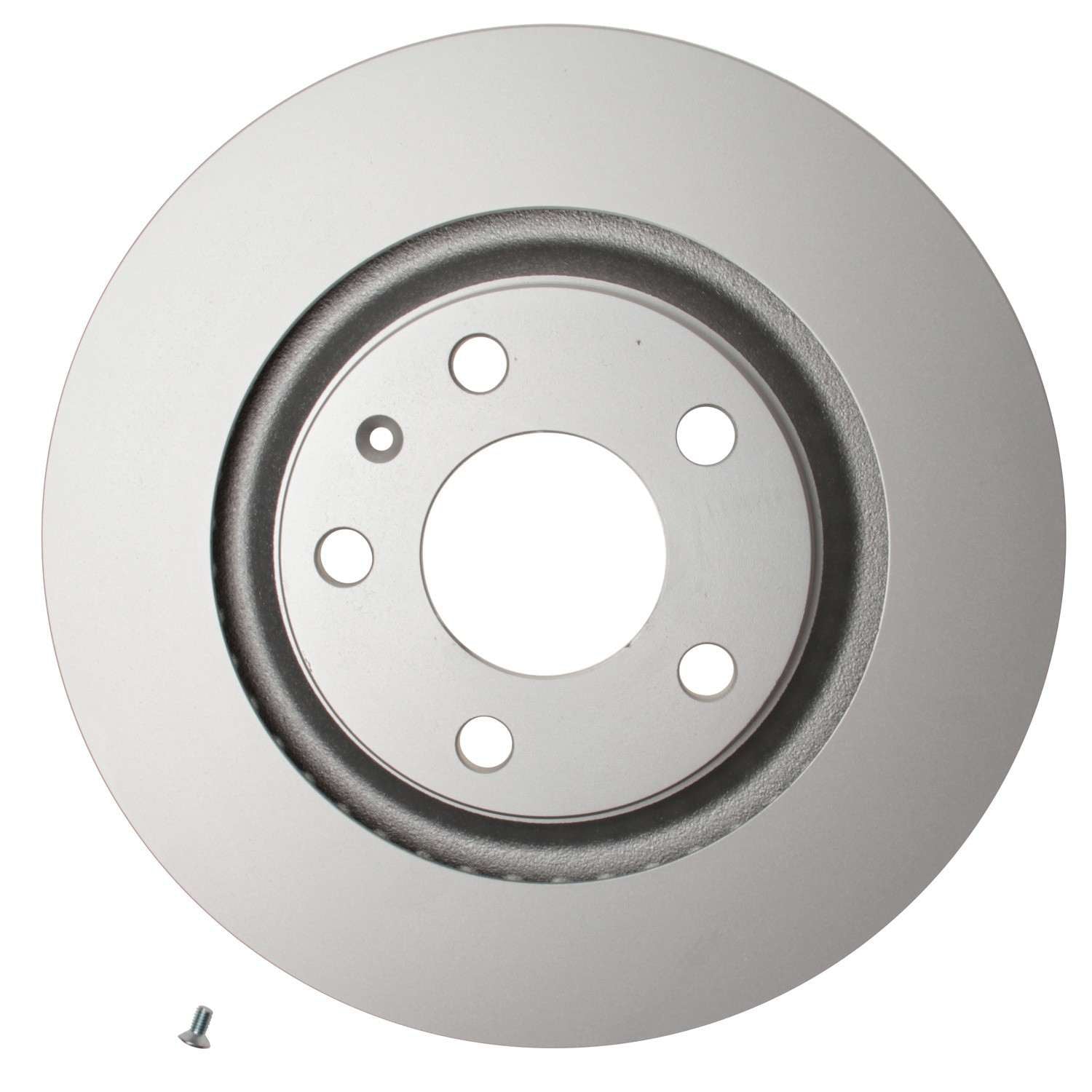 Pagid Disc Brake Rotor