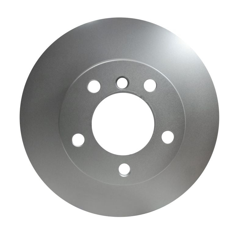 Pagid Disc Brake Rotor