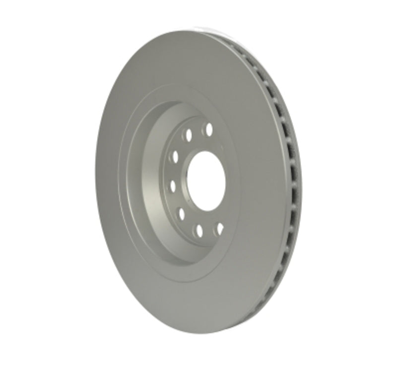 Pagid Disc Brake Rotor