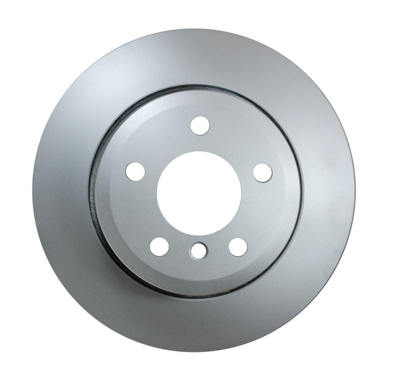 Pagid Disc Brake Rotor
