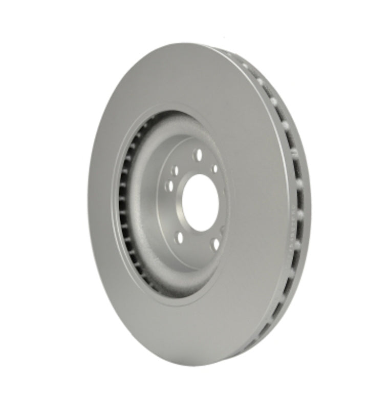 Pagid Disc Brake Rotor