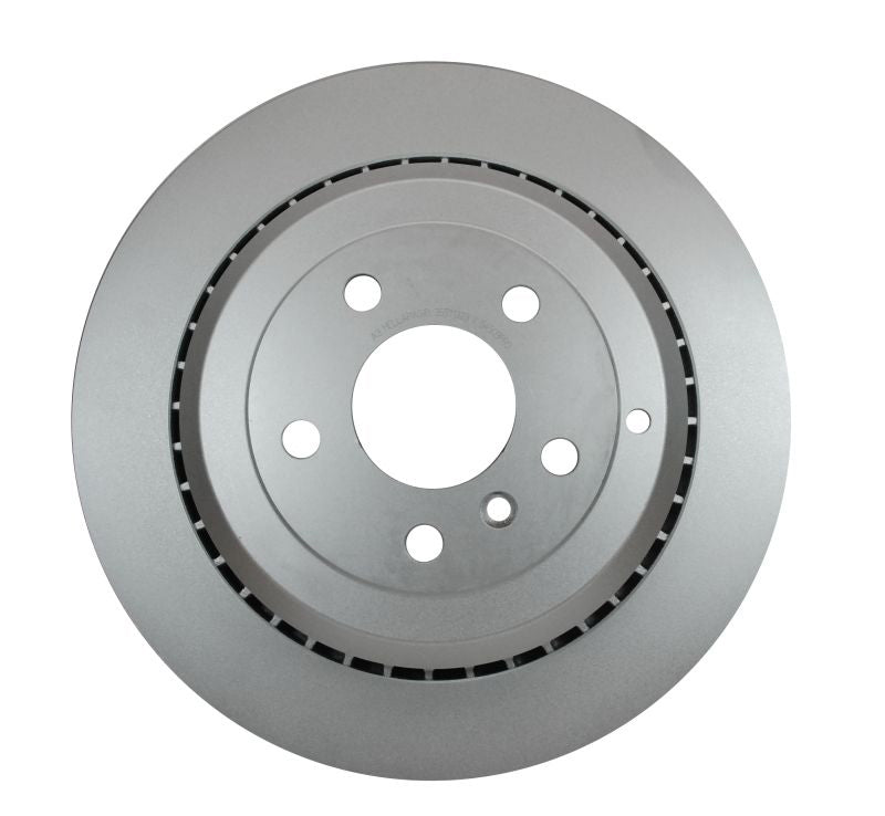 Pagid Disc Brake Rotor