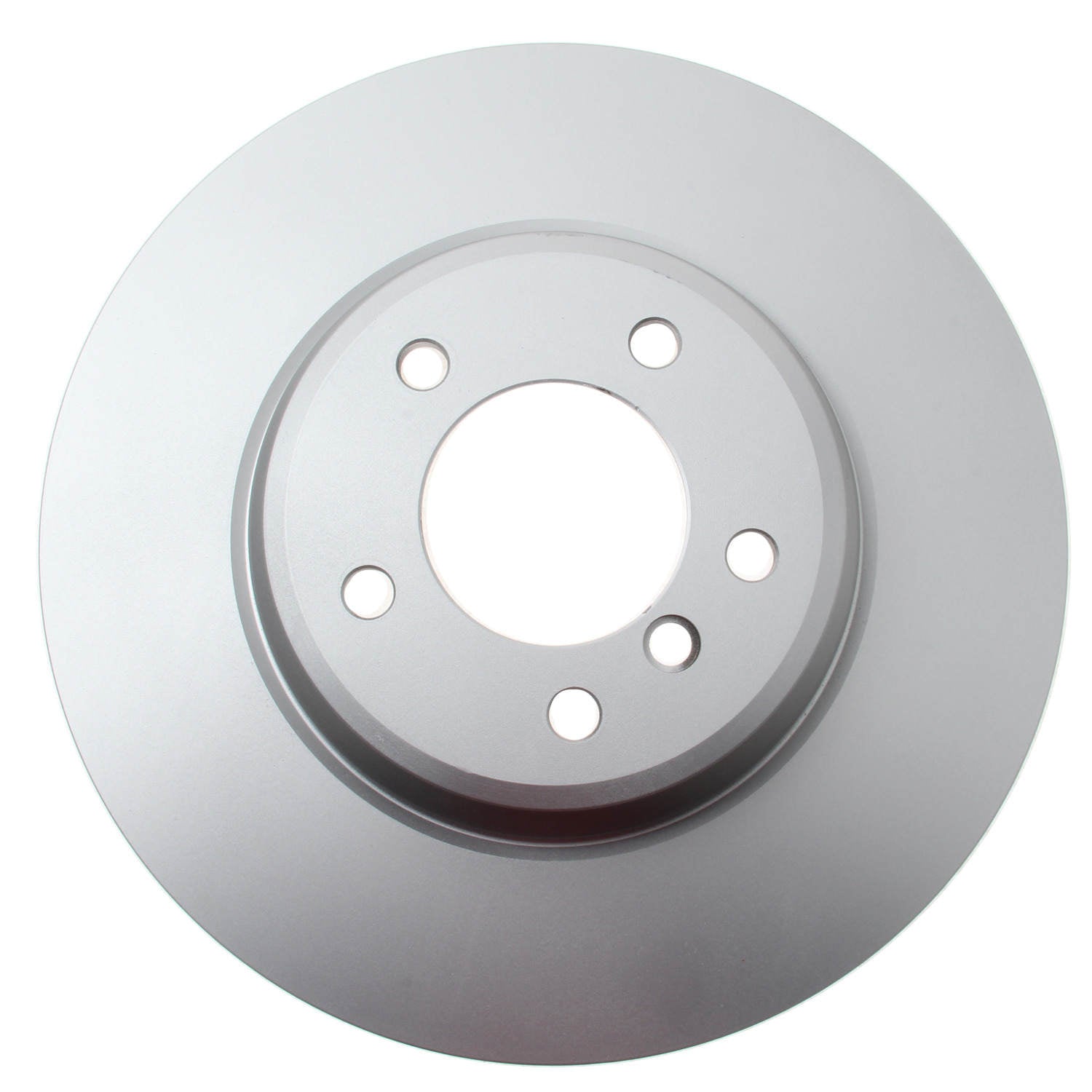 Pagid Disc Brake Rotor