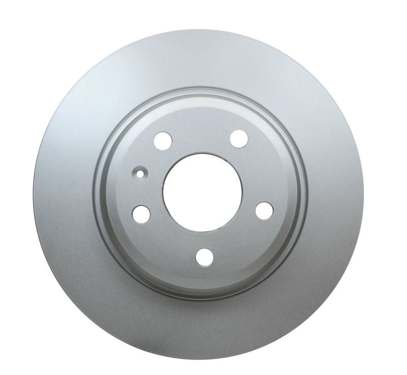 Pagid Disc Brake Rotor