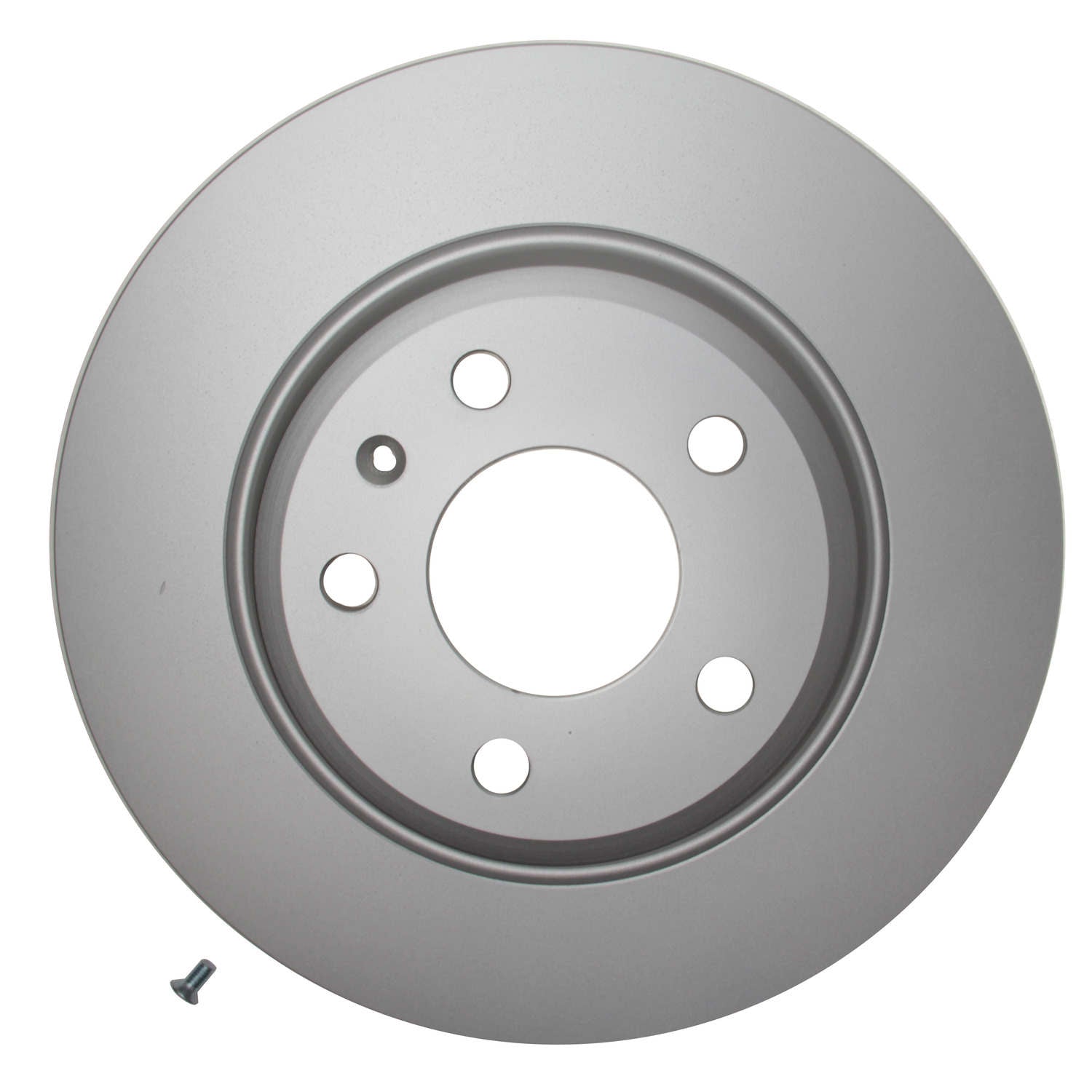 Pagid Disc Brake Rotor