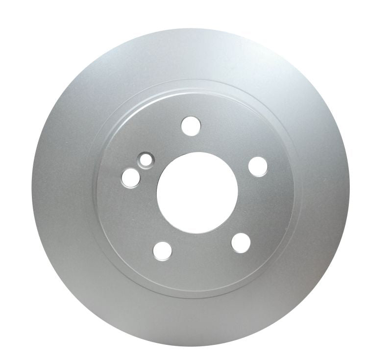 Pagid Disc Brake Rotor