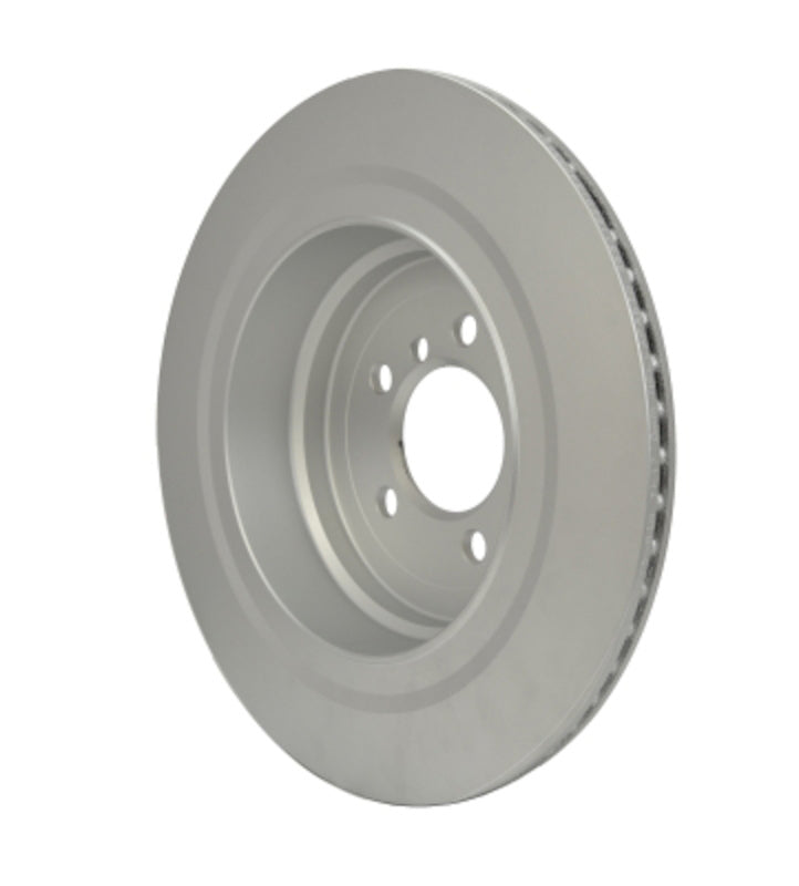 Pagid Disc Brake Rotor