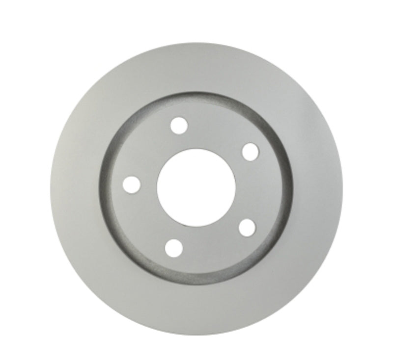 Pagid Disc Brake Rotor