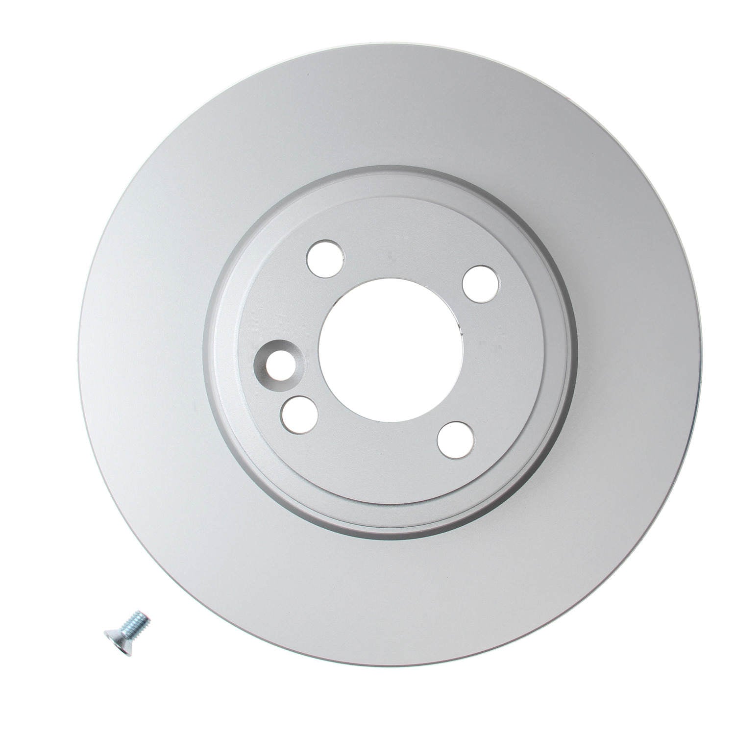 Pagid Disc Brake Rotor