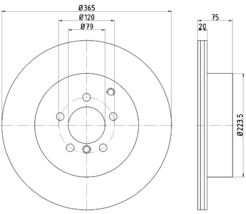 Hella Pagid Disc Brake Rotor 355116961