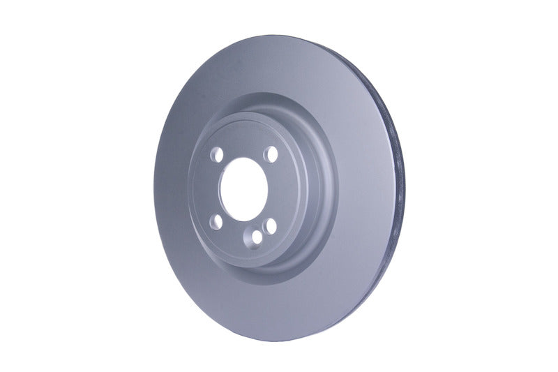 Hella Pagid Disc Brake Rotor 355119441