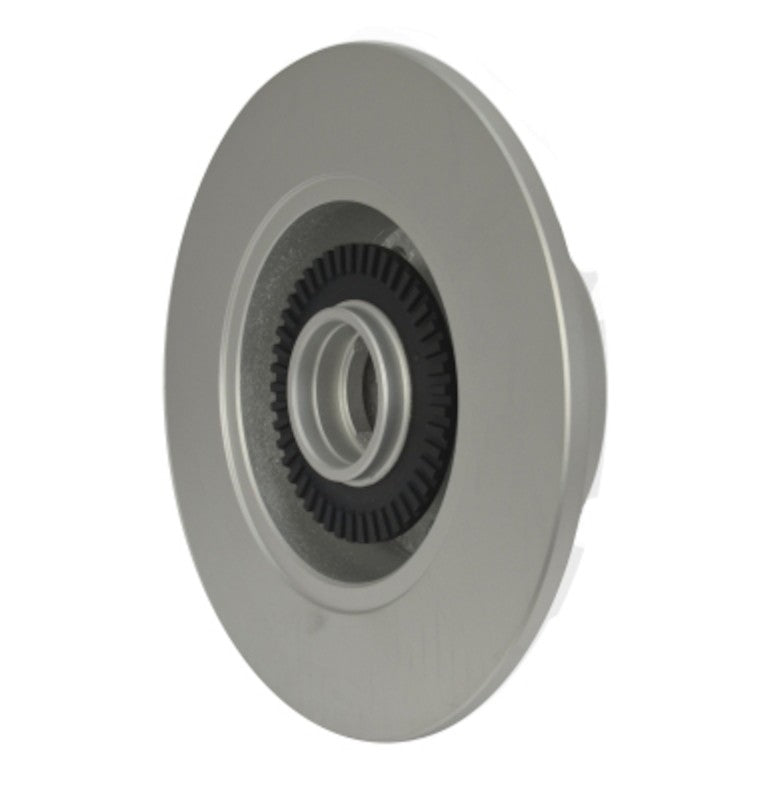Hella Pagid Disc Brake Rotor 355120152