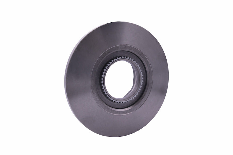 Hella Pagid Disc Brake Rotor 355120181