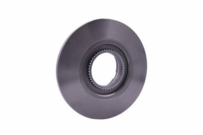 Hella Pagid Disc Brake Rotor 355120181