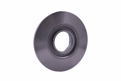Hella Pagid Disc Brake Rotor 355120181