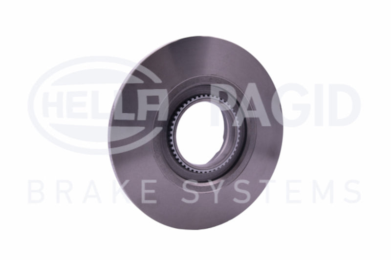 Hella Pagid Disc Brake Rotor 355120181