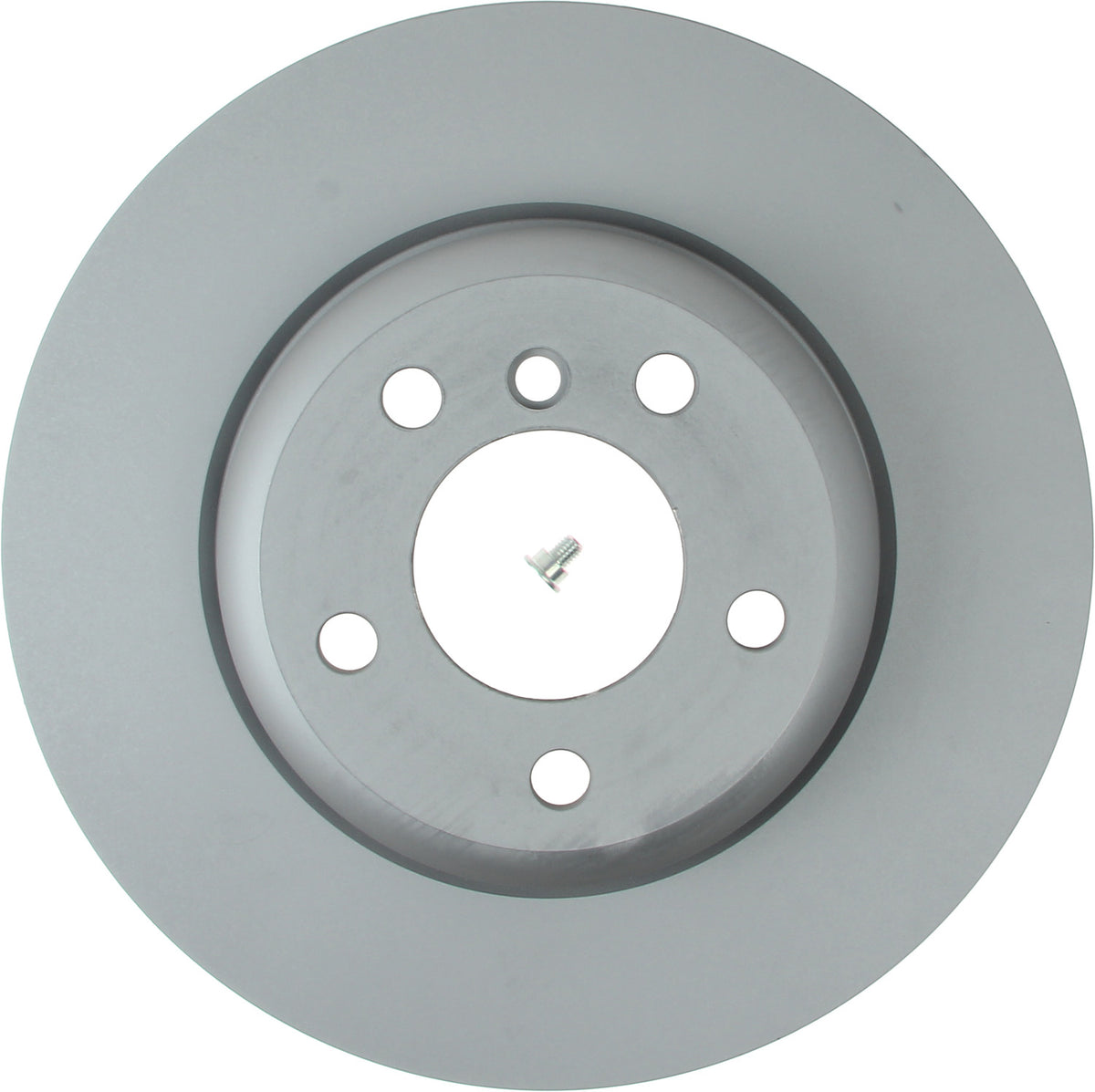 Hella Pagid Disc Brake Rotor 355120661