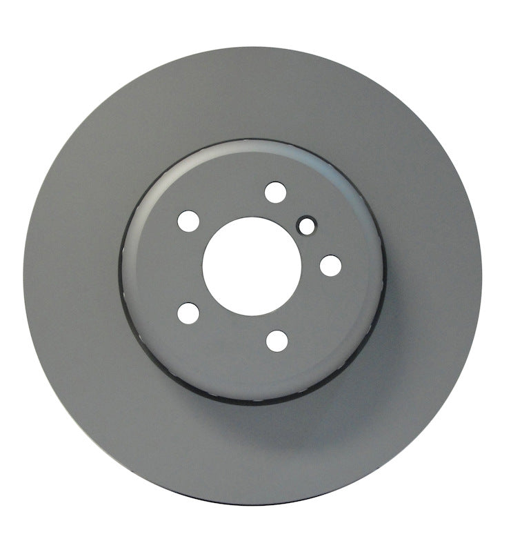 Pagid Disc Brake Rotor