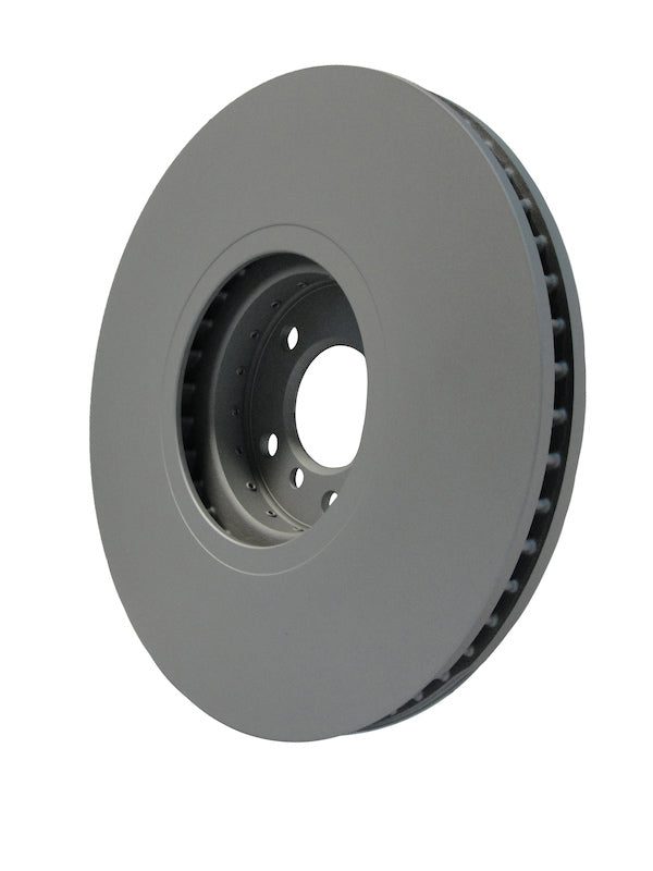 Pagid Disc Brake Rotor