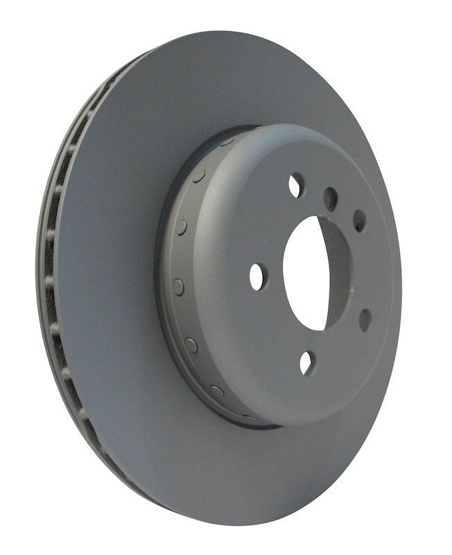 Hella Pagid Disc Brake Rotor 355120851