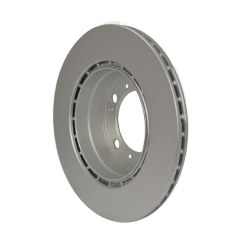 Hella Pagid Disc Brake Rotor 355121852