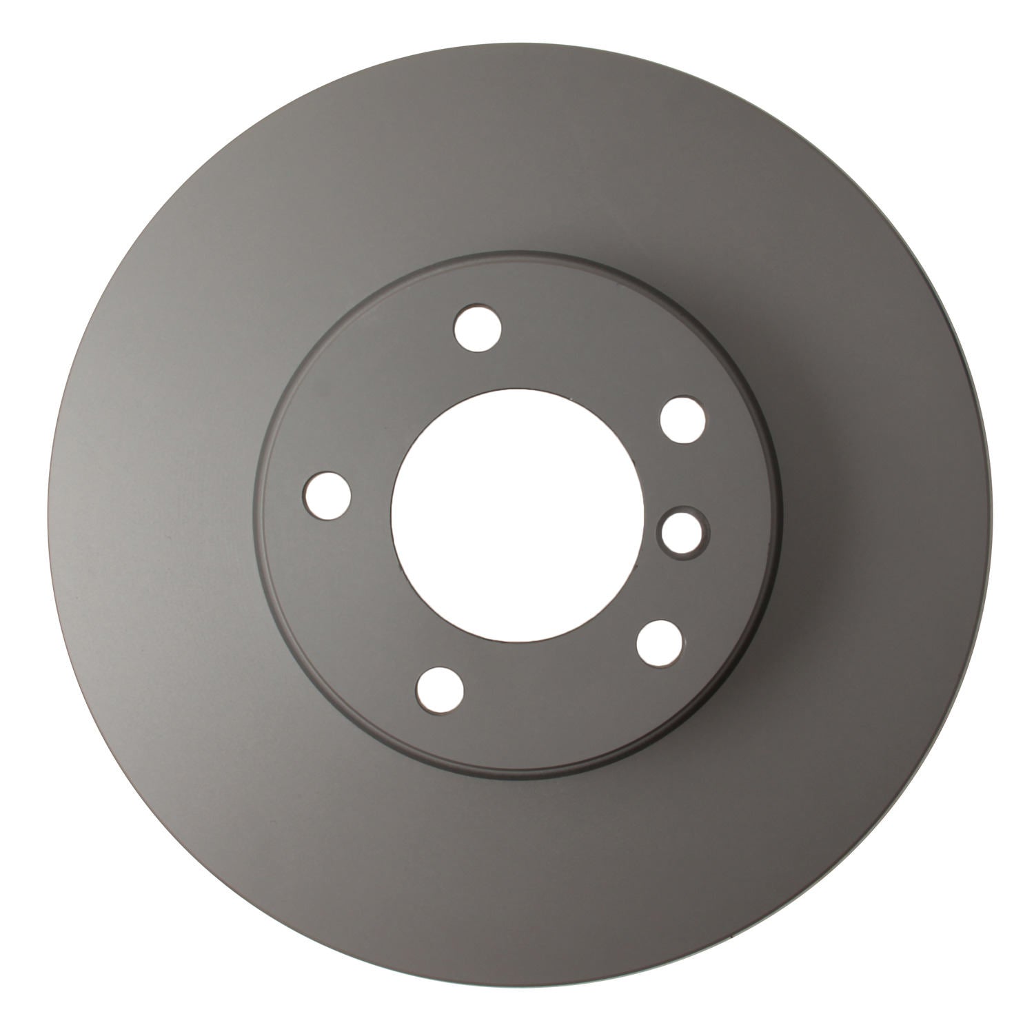 Pagid Disc Brake Rotor