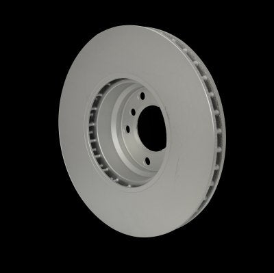 Hella Pagid Disc Brake Rotor 355122092