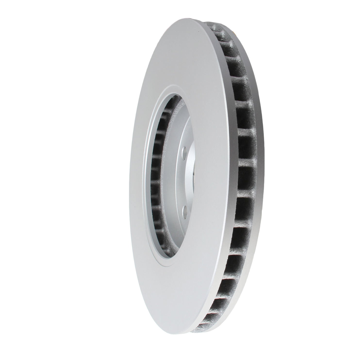 Pagid Disc Brake Rotor