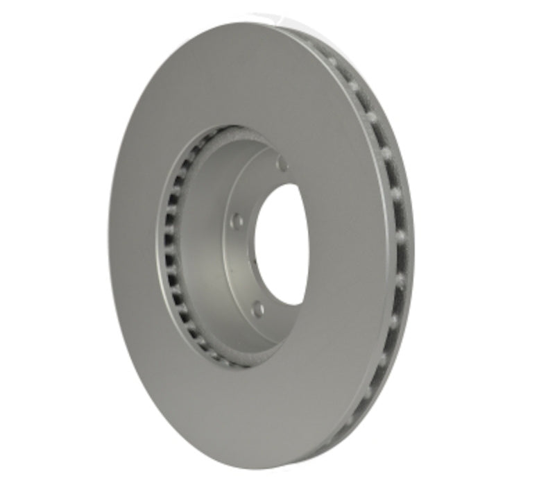 Pagid Disc Brake Rotor