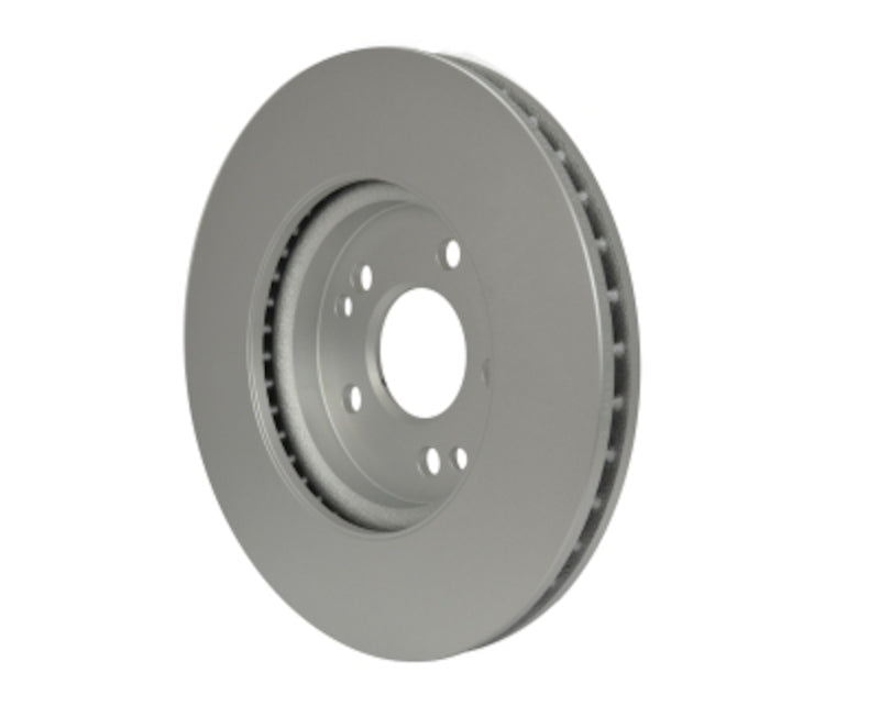 Hella Pagid Disc Brake Rotor 355122192